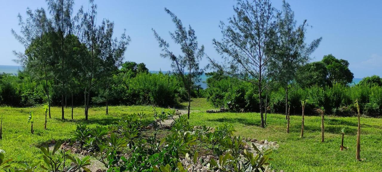 Amani Villas Nature Retreat Michamvi Екстериор снимка